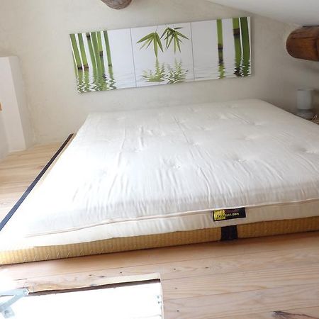 Appartement Avec Terrasse,Mezzanine,Patangarles Rom bilde
